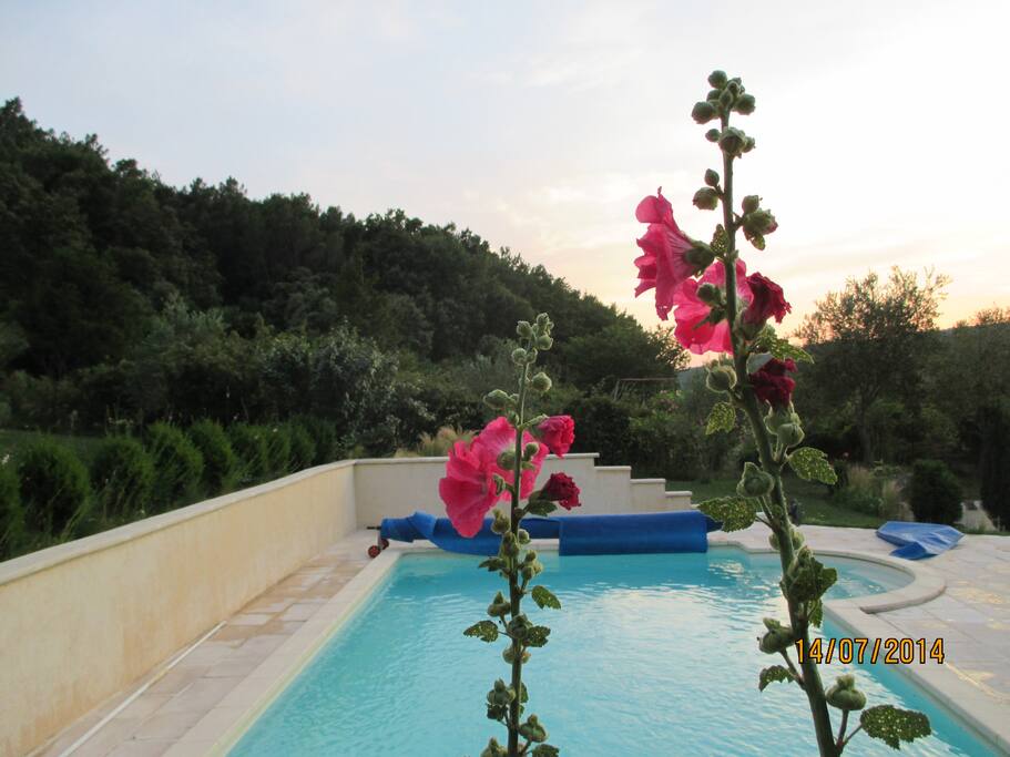 La piscine pour se rafraichir