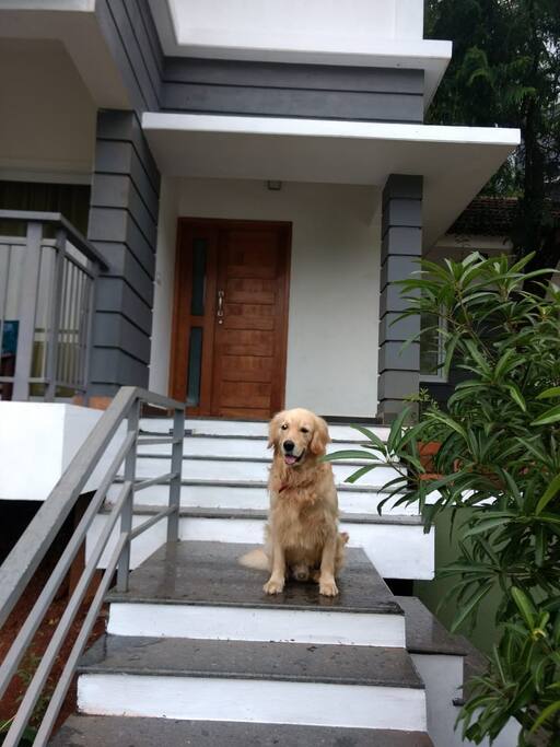 Lucky! Thanks to Sreedhar for bring him home :)