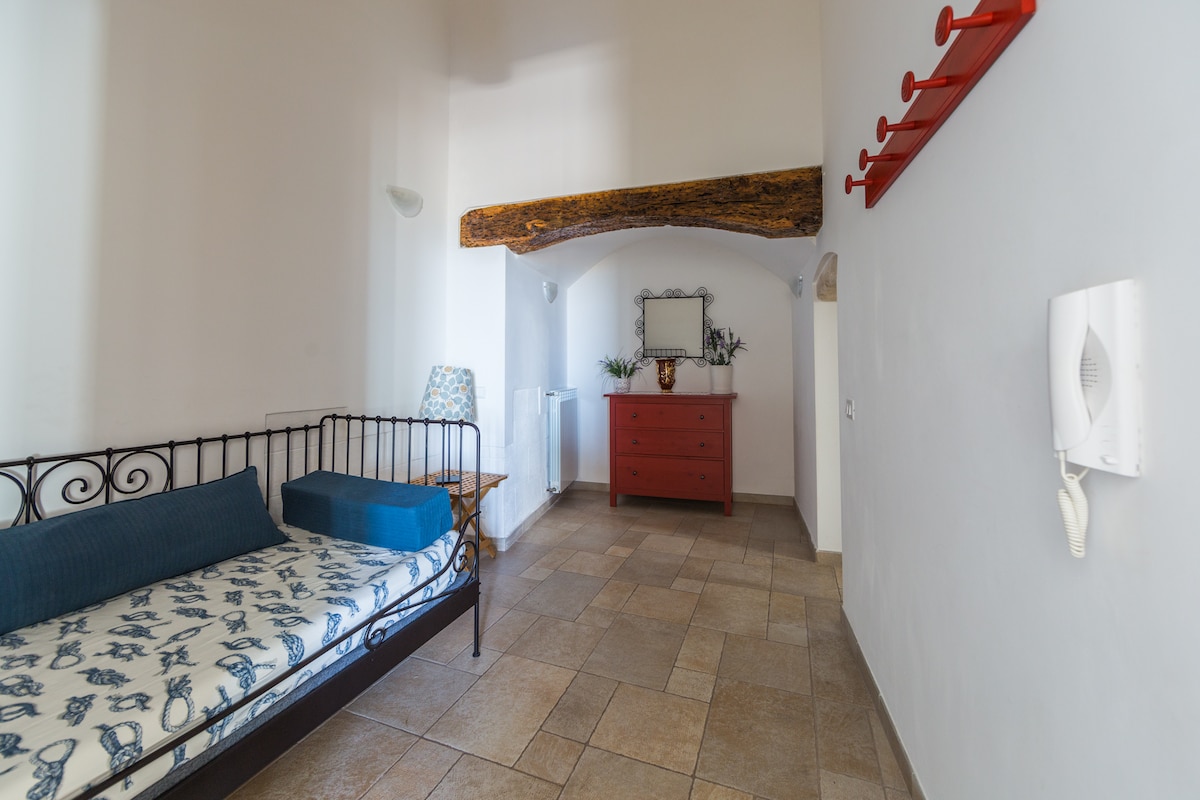 Gran entrada con cómoda cama individual