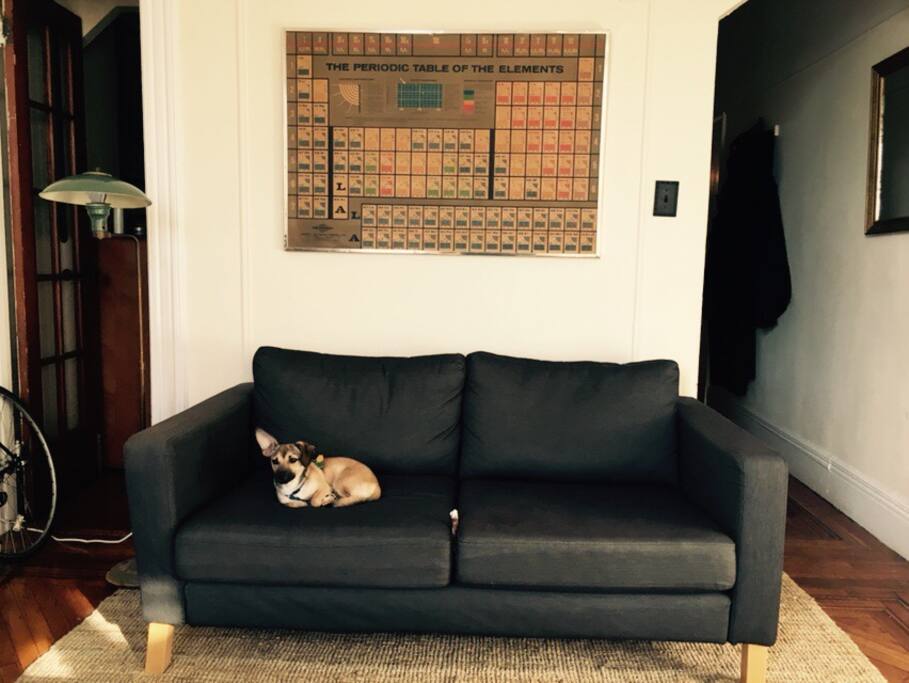 This is Major. He's very clean and he won't be around for your stay, but he makes for a happy home.