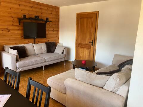 Top Airbnb: Large central apt with view in Gryon