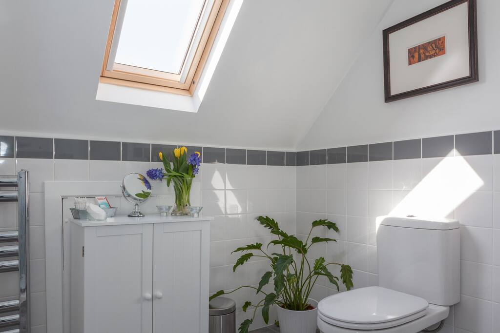 Ensuite shower room