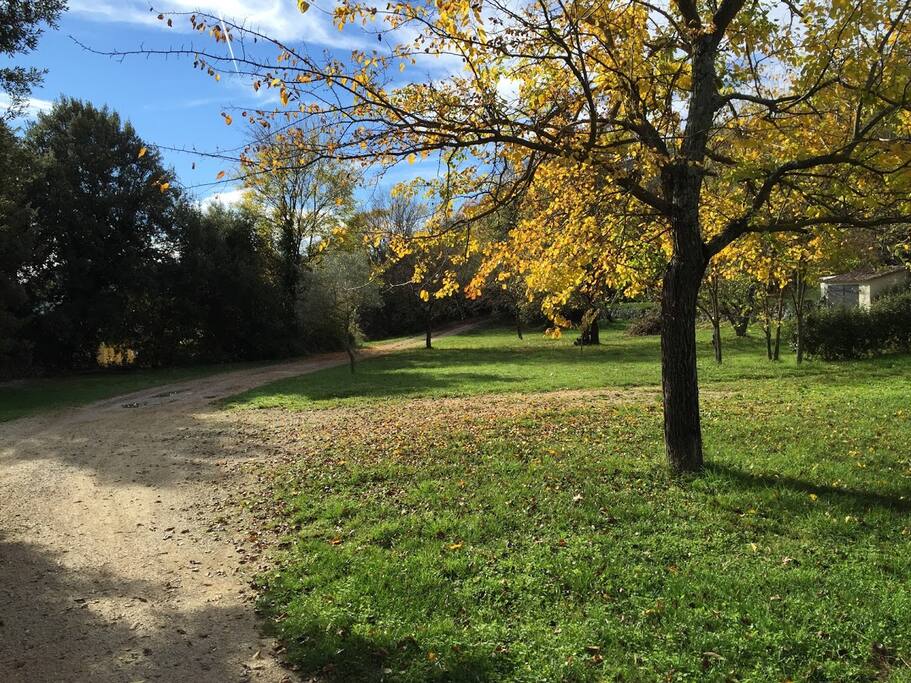 c'est l'automne