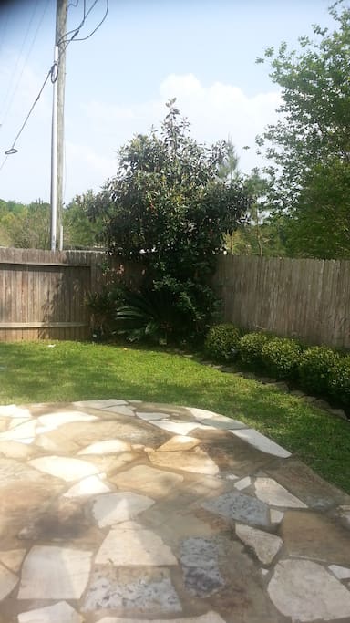 Backyard