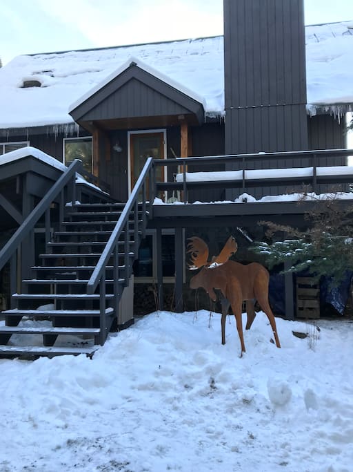Amos the Moose greets all the guests