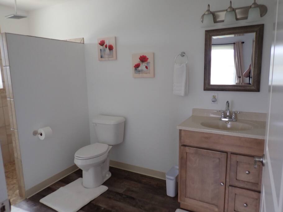 Suite 203 Bathroom