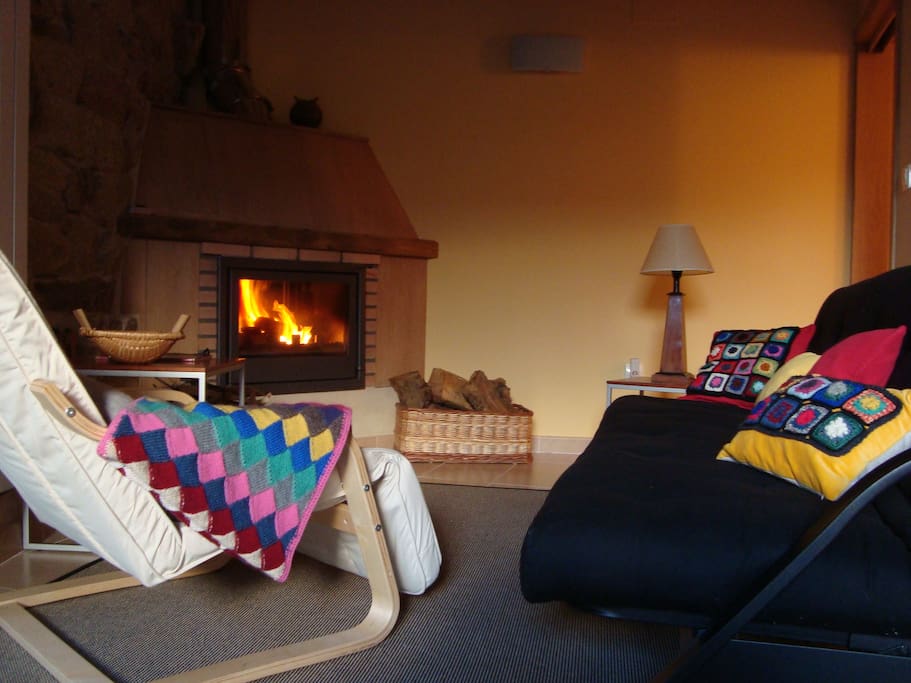 Living room with eco-fireplace