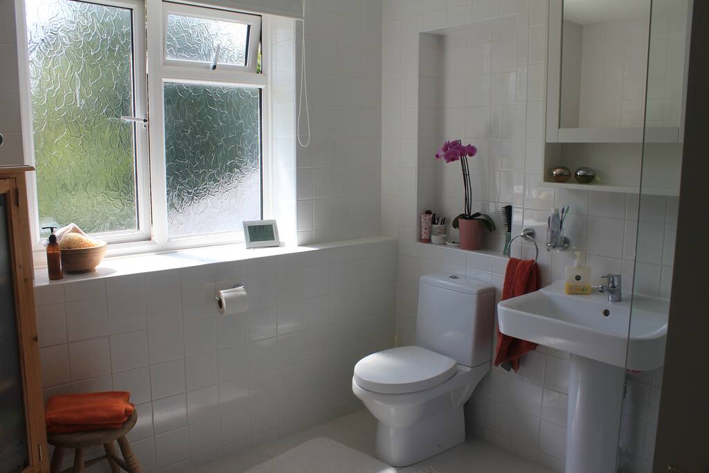 Guest bathroom