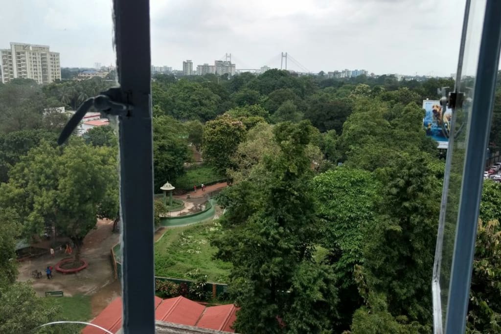 View from the bedroom