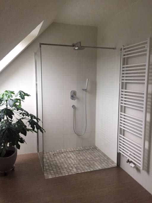 Badezimmer / Dusche