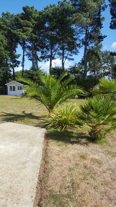 Le jardin