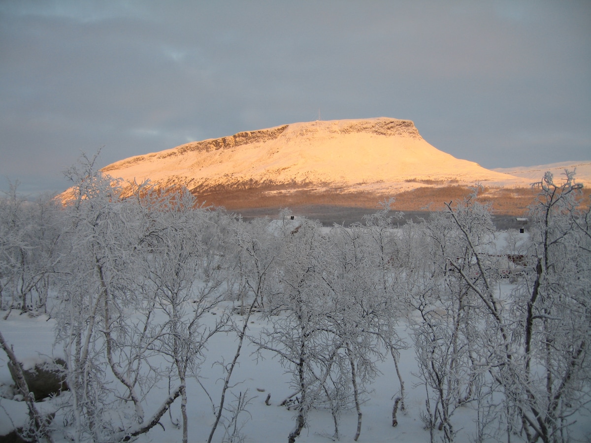A snowy landscape is captured with trees covered in frost, contrasting against a backdrop of a mountain illuminated by the soft glow of the setting sun. The mountain's peak reflects hues of orange, adding warmth to the serene winter scene.
