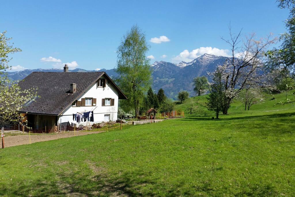 Honora Zen Haus