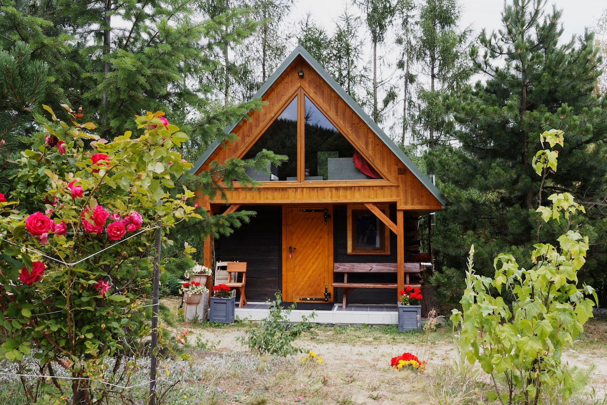 The wooden cottage features a sloped roof and large front windows, allowing natural light to fill the interior. Surrounded by greenery and blooming flowers, a welcoming porch with two chairs is visible, enhancing the inviting entrance.