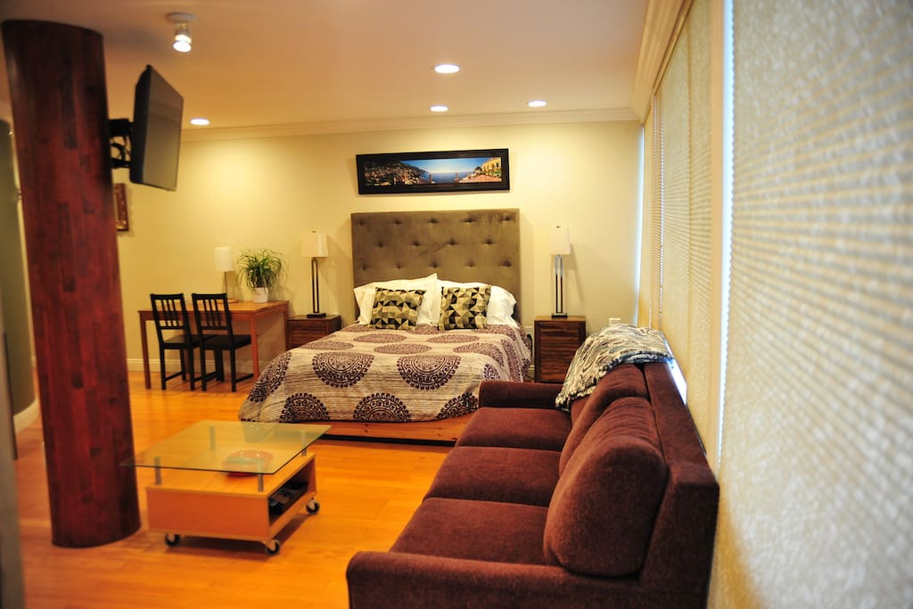Huge studio apartment unit. Super comfortable couch pulls out into a king sized bed.