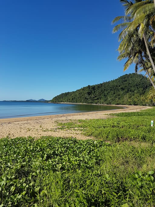Beautiful Bingil Bay Beach