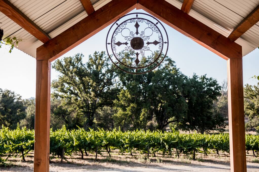 From the house looking at the vineyard