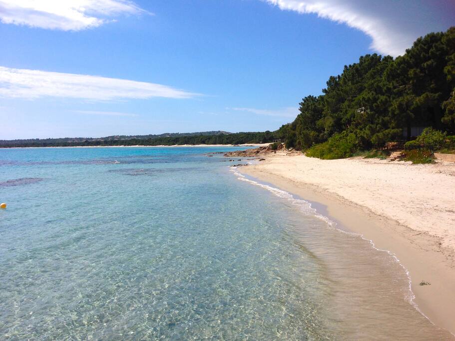 Plage de Pinarello