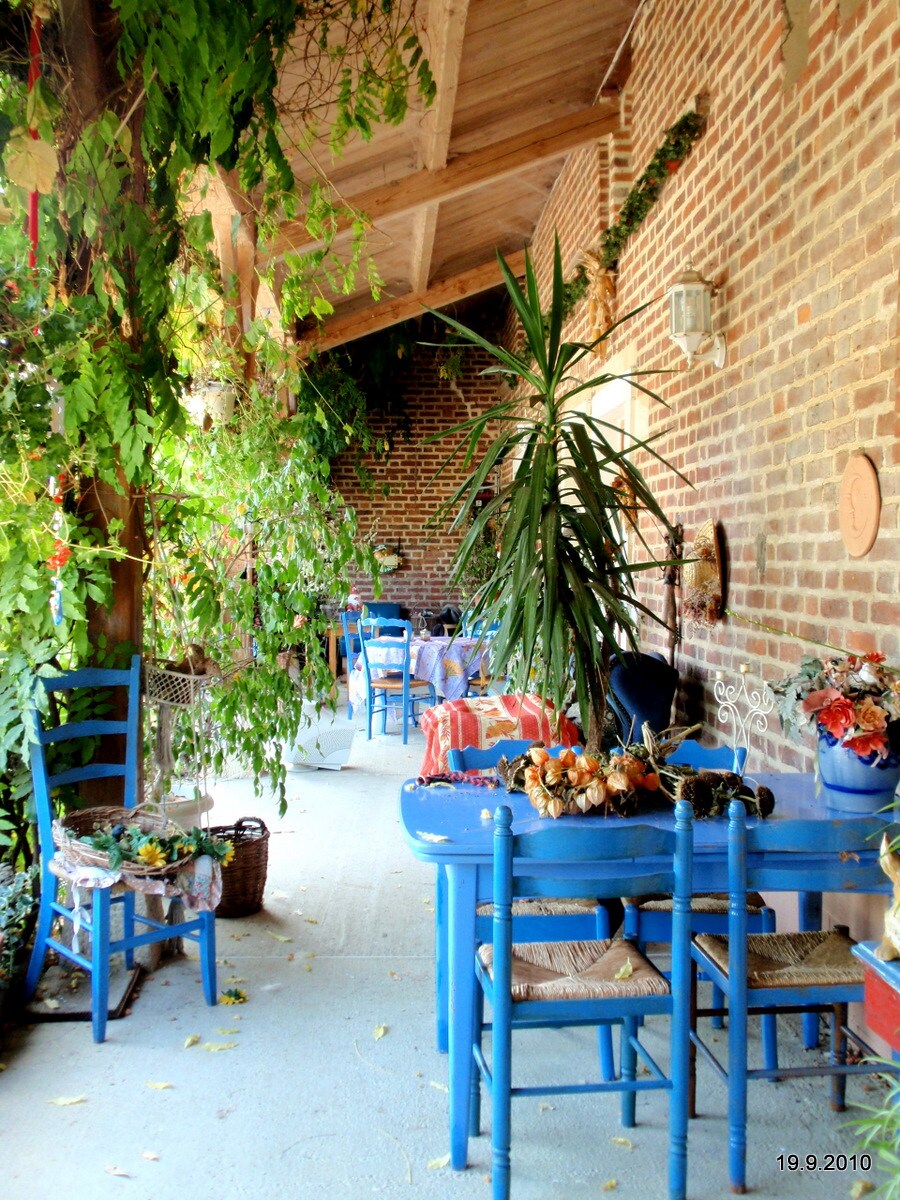 A covered terrace area is highlighted by vibrant blue wooden chairs and tables. Lush green plants hang from the ceiling, complementing the brick wall backdrop. Decorative elements, such as a low table adorned with natural materials, enhance the inviting atmosphere of the space.