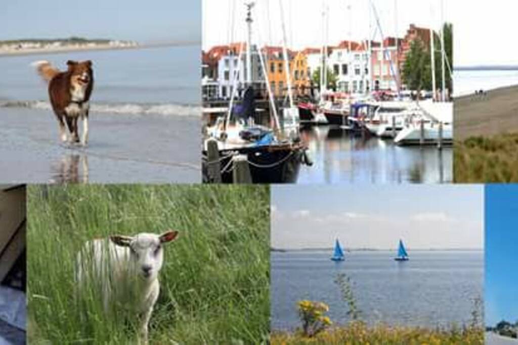 Impressionen aus Zeeland