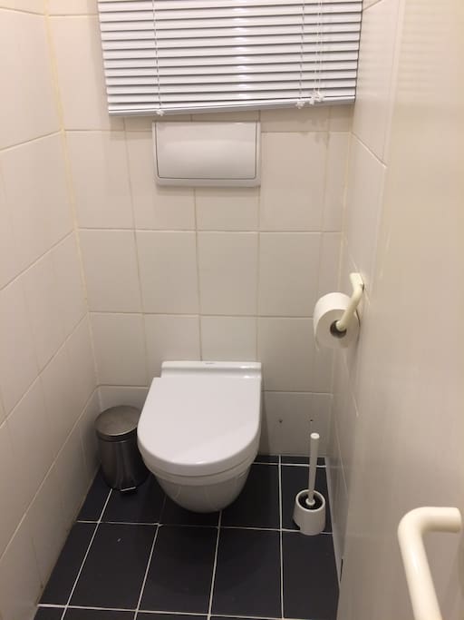 Die Toilette