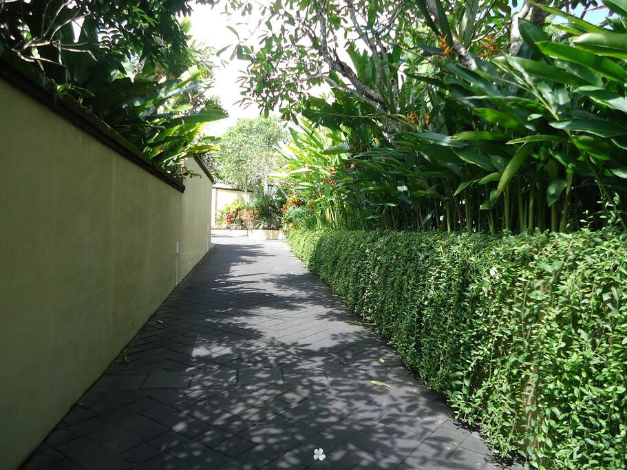 Tropical garden