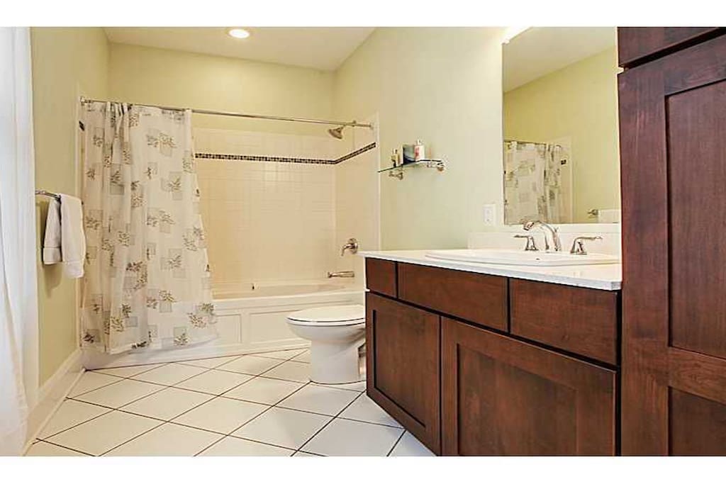 Downstairs Master suite bath