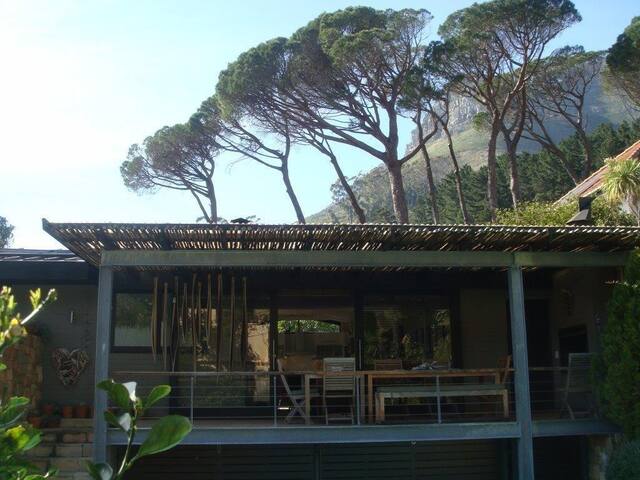 Table Mountain Forest Villa – Cape Town gallery image 2