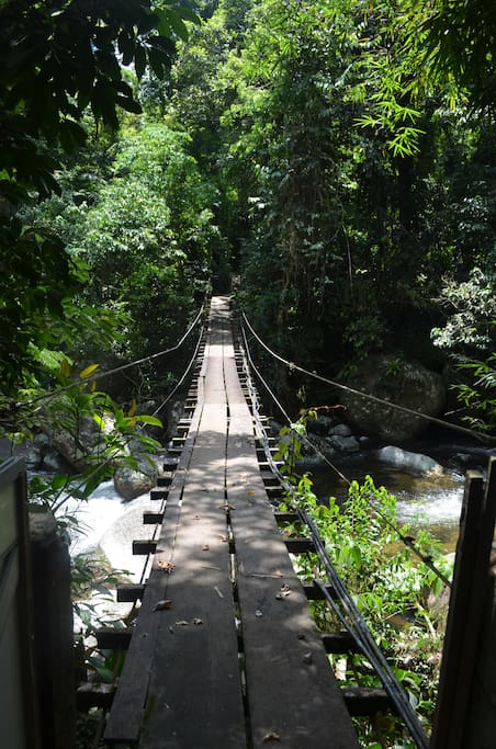 ponte de acesso ao nosso Sonho Verde