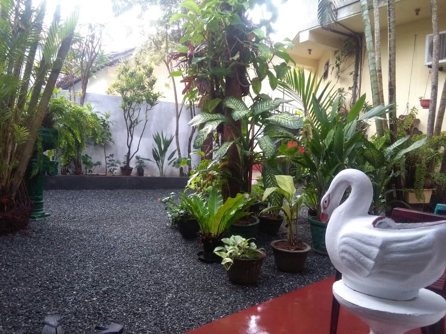 Garden view