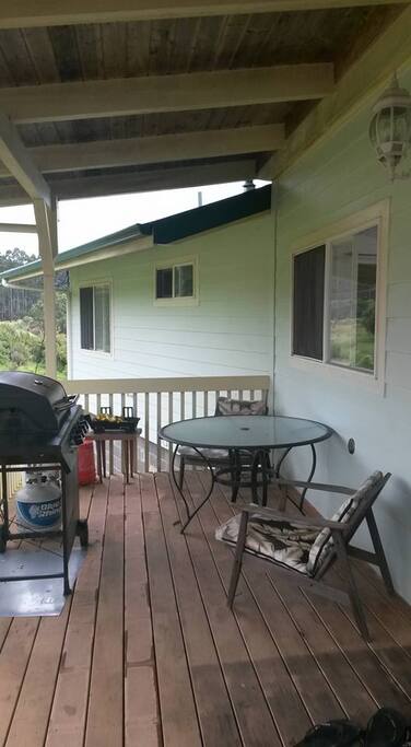 Front patio with table and chairs, bbq and hibatchi