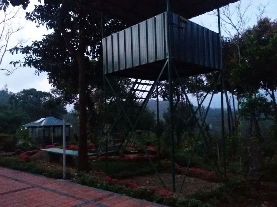 Watch Tower