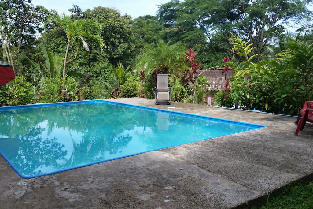 Our large pool