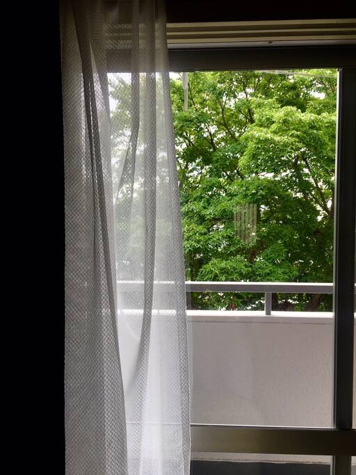 Balcony. Lots of plants and fresh air