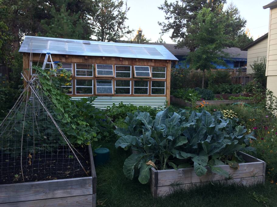 greenhouse
