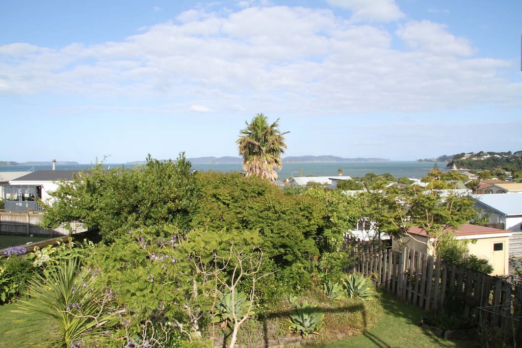 Kawau Bay view