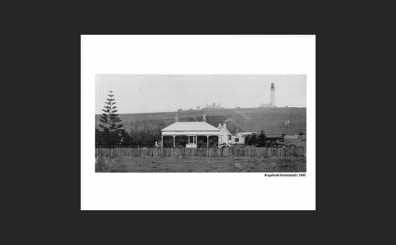 Spacious Beachside Sanctuary, walk 2 beach & shops gallery image 5