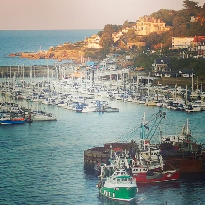 Brixham in the glow of the setting sun.