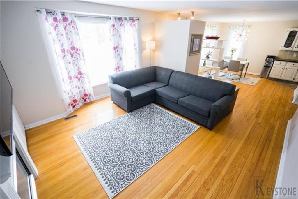 Living room with a sofa bed