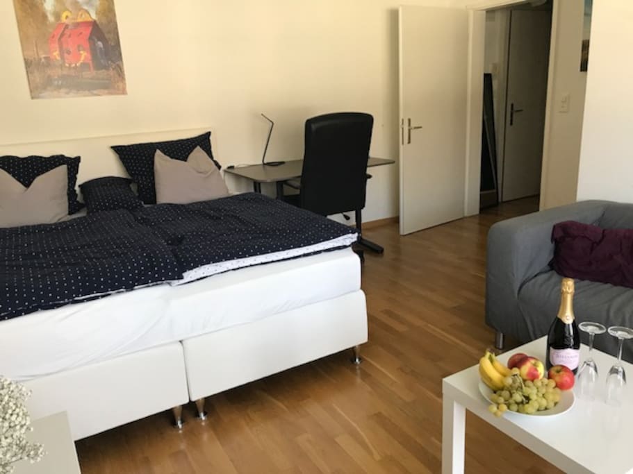Living and bedroom
