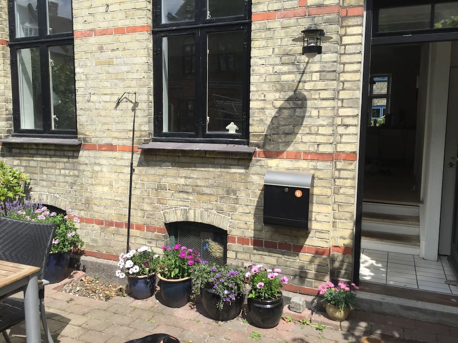The garden in front of the house