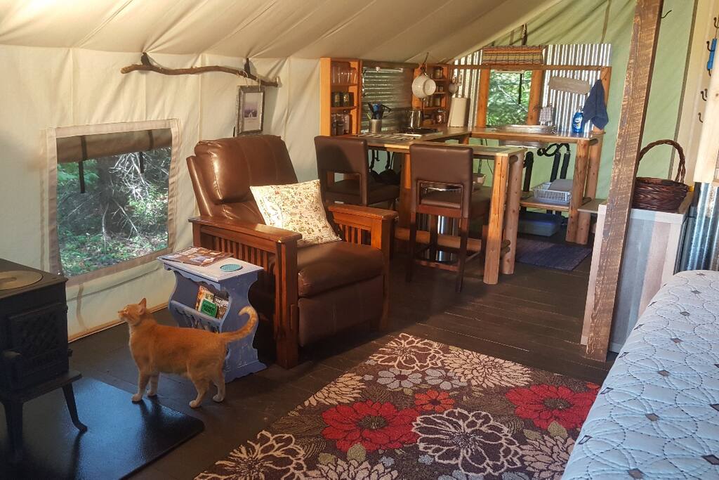 All the comforts of home and we'll make sure Zip comes home with us!