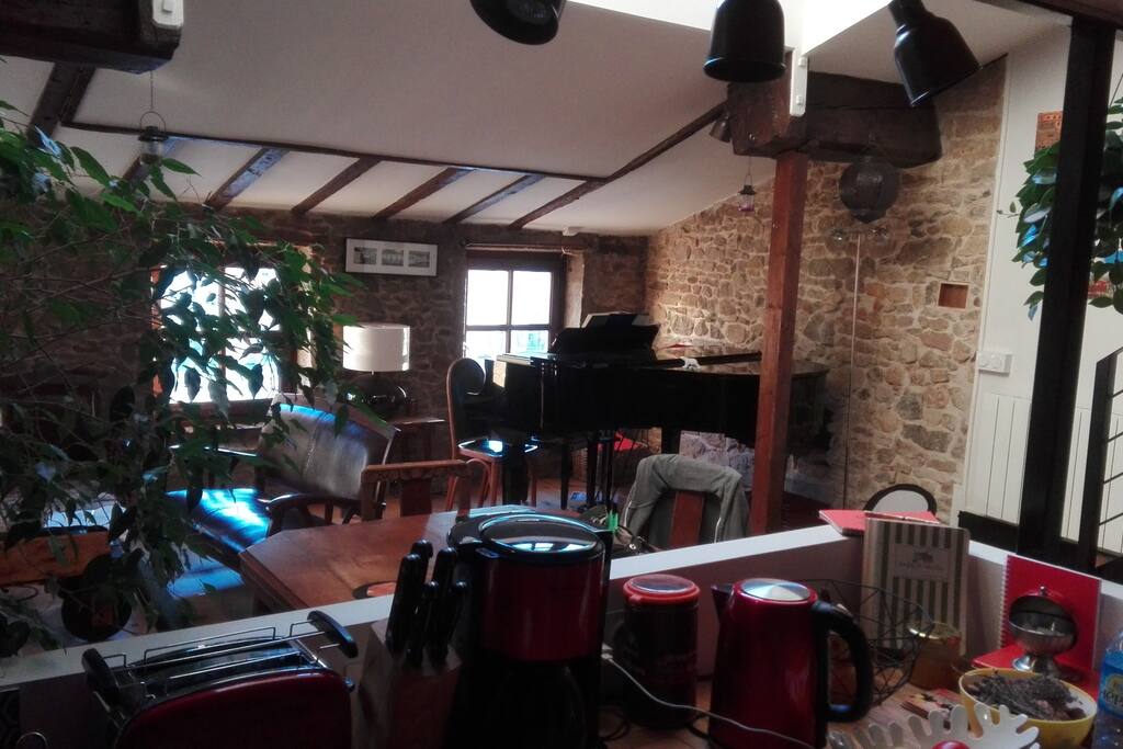 salon