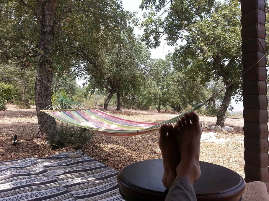 Outside in the summer