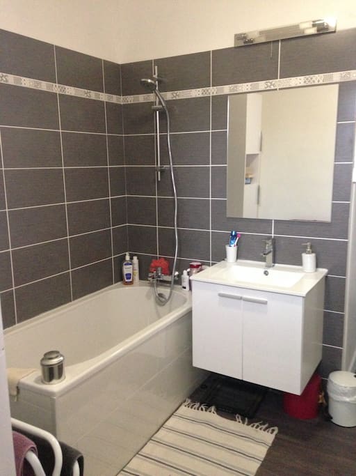 salle de bain refaite entièrement récemment