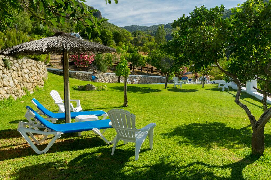 zona de cesped en piscina