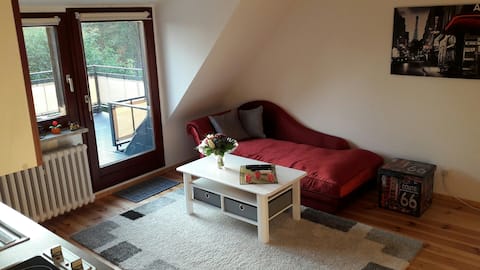 2-room apartment with private bathroom + balcony near the forest