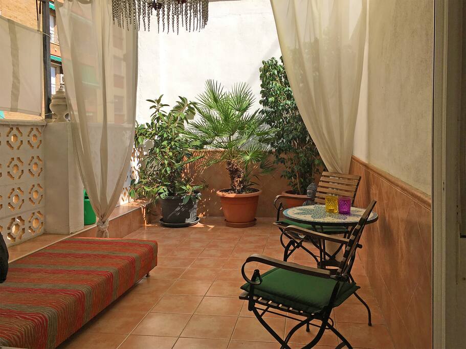 14.03.2017 the plants are really big after nine years on the terrace
