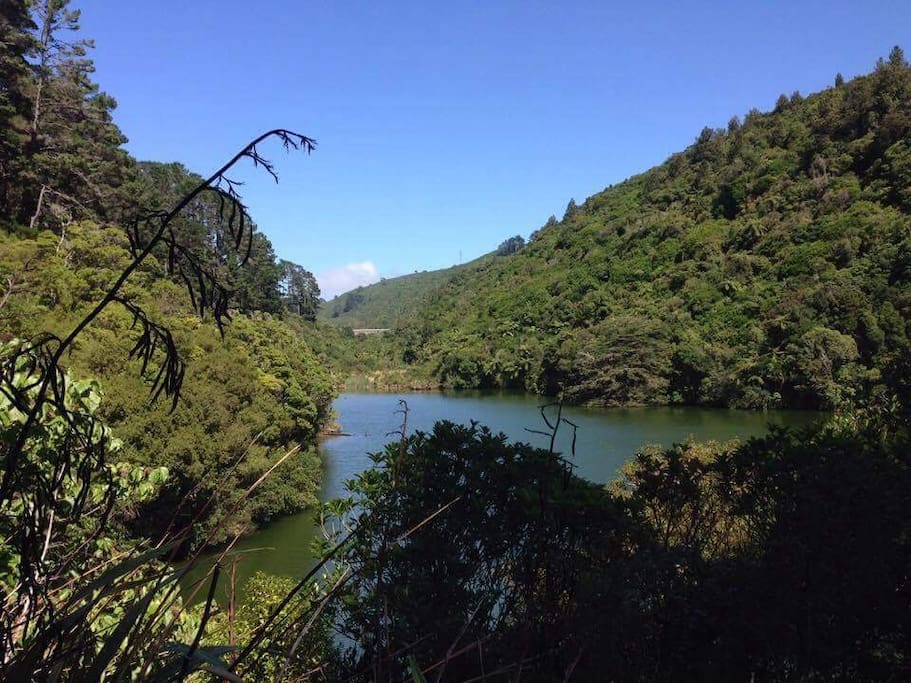One of two lakes in Zealandia just 500 metres away