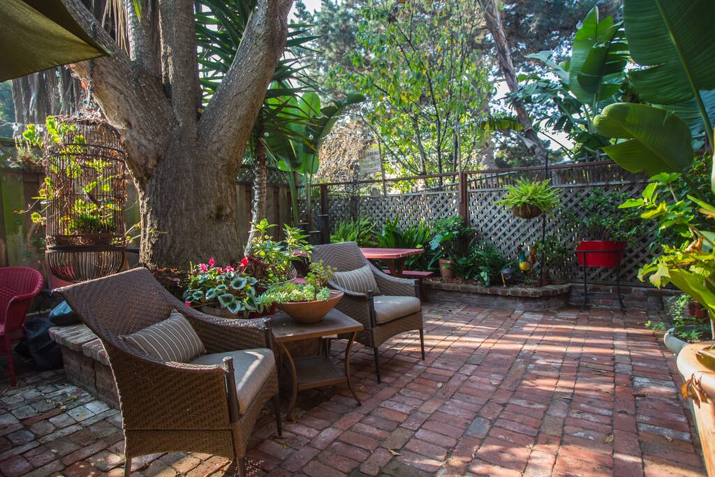 Patio and Lounge Area